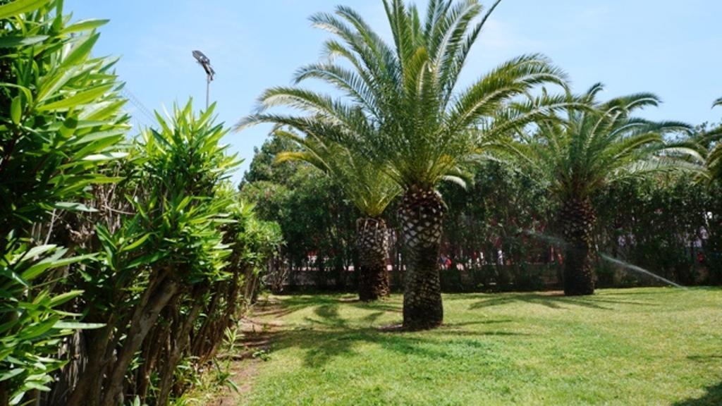 Appartement Patio Andaluz