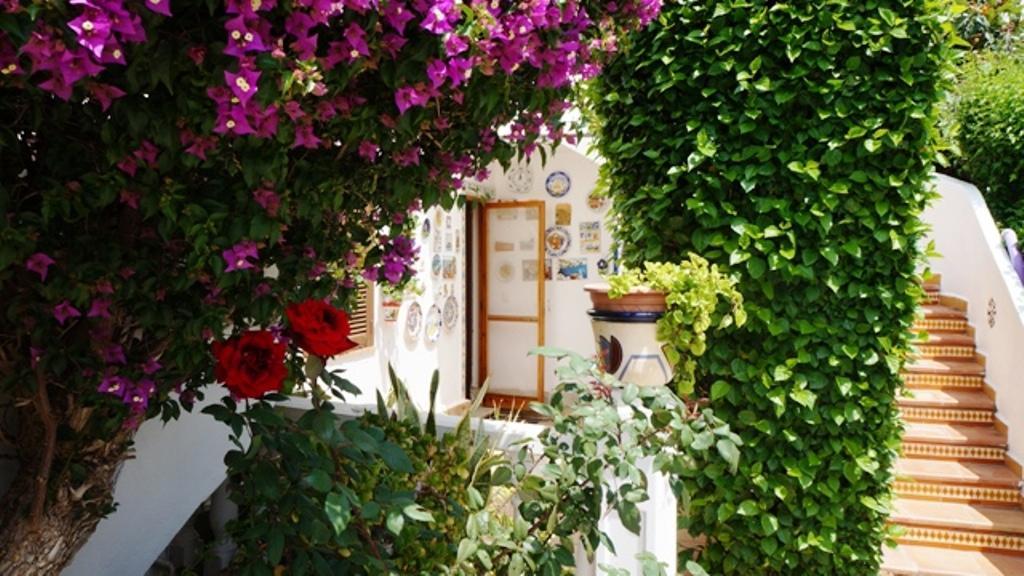 Patio Andaluz Dénia